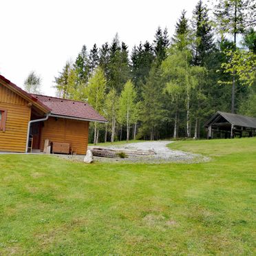 Sommer, Kleine Almliebe, Preitenegg, Kärnten, Österreich