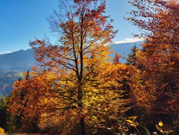 Jagdhütte Josefi - Kärnten - Österreich