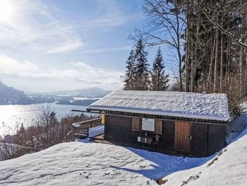 Hütte am Waldrand - Carinthia  - Austria