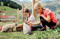 Familien- und Naturhotel Darrehof, Serfaus, Serfaus-Fiss-Ladis, Tirolo, Austria (35/44)