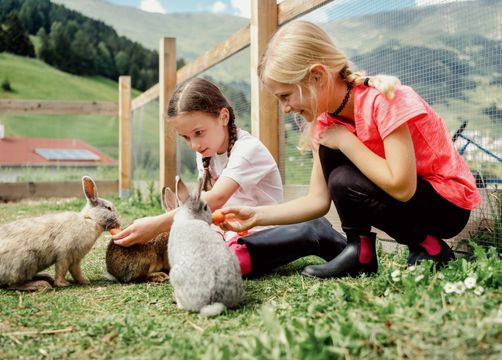 Familien- und Naturhotel Darrehof: Urlaub mit Tieren - Familien- und Naturhotel Darrehof