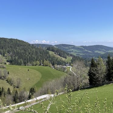 View, Ferienhaus Mörthandrä, Hirschegg, Styria , Austria