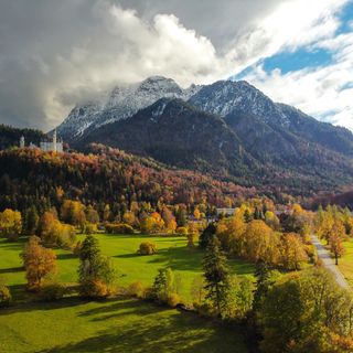 Zimmerbild #1