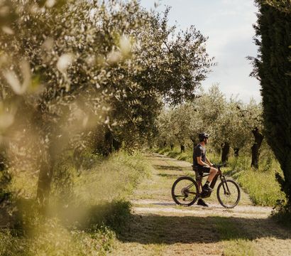 Angebot: Active - Cape of Senses