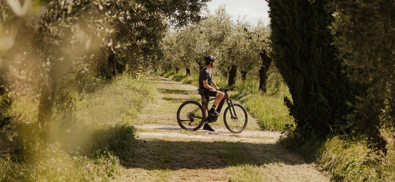 Cape of Senses: Active