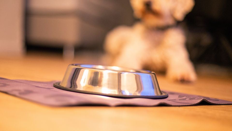 Comfort Double Room with Sea-View Terrace – View 7