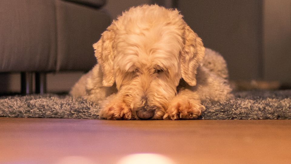 Superior Double Room with South-Facing Balcony – View 5