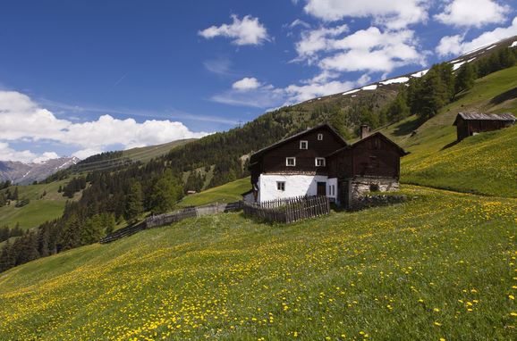 Sommer, Almhütte Stableshof, Nauders, Tirol, Österreich