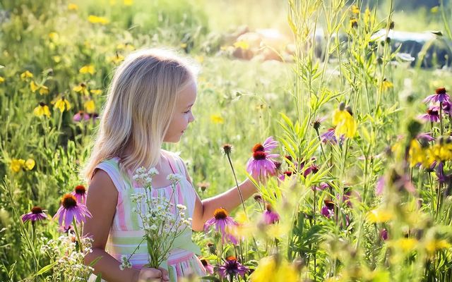 Familienhotel Am Tränkbachtal Bildergalerie