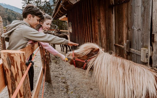 Tiere des Familienhotels