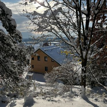 Winter, Chalet Kremstalblick, Neuhofen an der Krems, Upper Austria, Austria