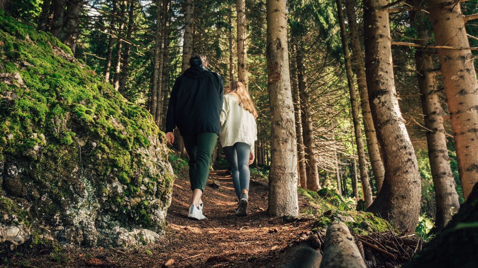 image #13 - Torghele’s Wald und Fluh