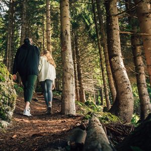 Impressions #10 - Torghele’s Wald und Fluh