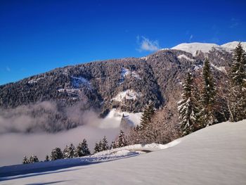 Almhütte Enzian - Carinthia  - Austria