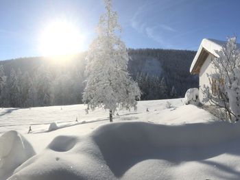 Black Forest Hideaway - Baden-Württemberg - Deutschland