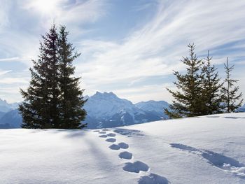 Chalet Tetras - Waadt - Schweiz