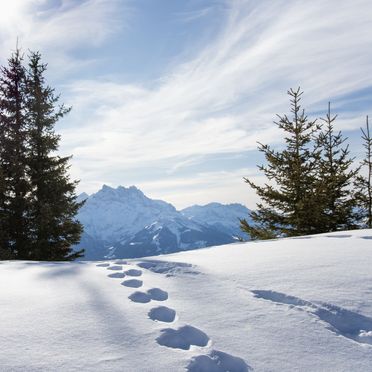 Innen Winter 73, Chalet Tetras, Villars, Waadtländer Alpen, Waadt, Schweiz