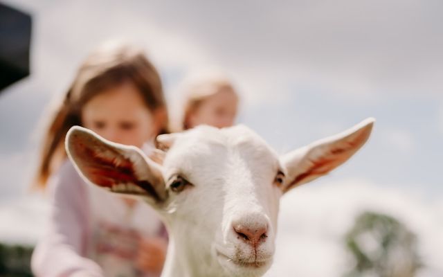 Kinderanimation am Wasser