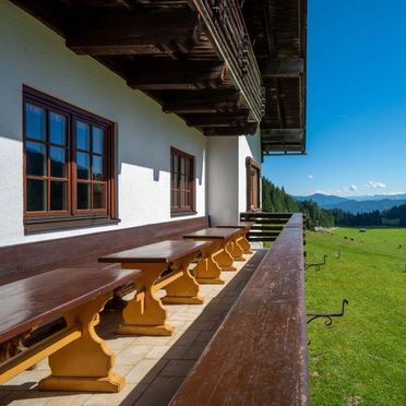 Summer, Stadlalm, Mühlbach am Hochkönig - Birgkar, Salzburg, Austria