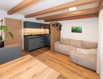  Altitude 1000 - Naturapartments Alpbach