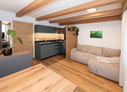 Altitude 1000 (1/1) - Naturapartments Alpbach