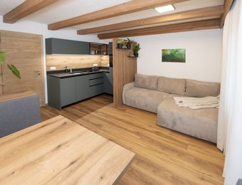  Altitude 1000 - Naturapartments Alpbach