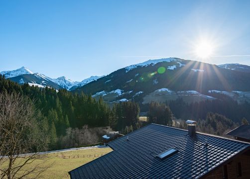 Penthouse (25/29) - Naturapartments Alpbach