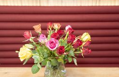 BIO HOTELS Naturapartments Alpbach Double Deluxe Zimmer (15/33) - Naturapartments Alpbach