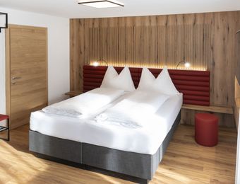  Double Deluxe - Naturapartments Alpbach