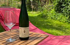 Bio Boutique Hotel Prüm: Wein im Garten genießen - Bio Boutique Hotel Prüm, Brauneberg, Mosel, Rheinland-Pfalz, Deutschland