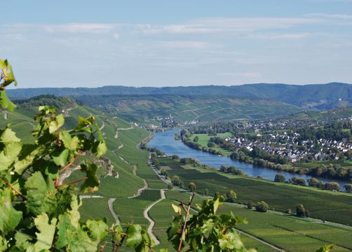 Bio Boutique Hotel Prüm: Urlaub an der Mosel - Bio Boutique Hotel Prüm, Brauneberg, Mosel, Rheinland-Pfalz, Deutschland