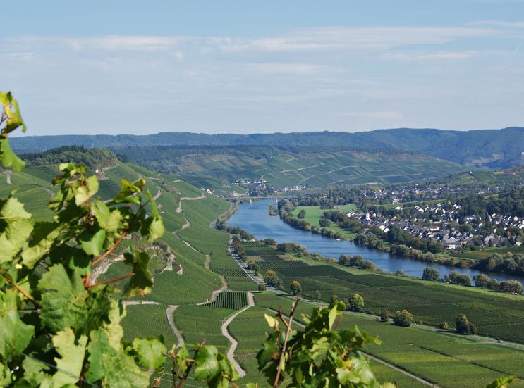 Bio Boutique Hotel Prüm: Urlaub an der Mosel - Bio Boutique Hotel Prüm, Brauneberg, Mosel, Rheinland-Pfalz, Deutschland