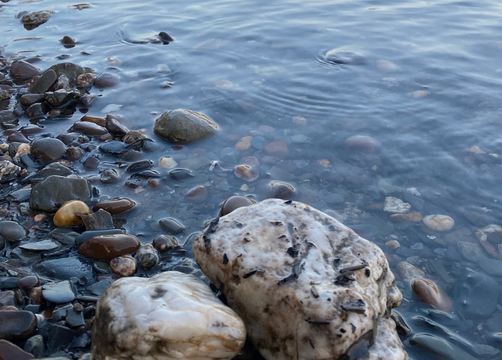 Bio Boutique Hotel Prüm: Mosel entdecken - Bio Boutique Hotel Prüm, Brauneberg, Mosel, Rheinland-Pfalz, Deutschland