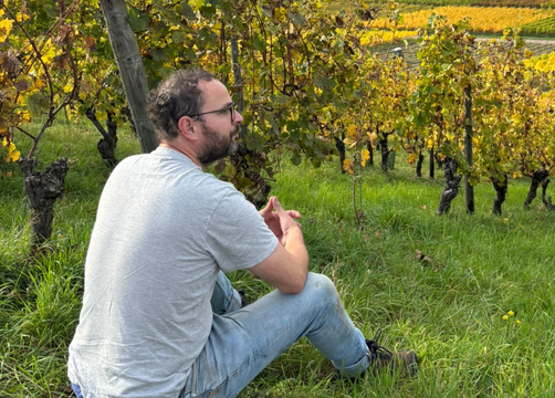 Bio Boutique Hotel Prüm: Bio-Weingut an der Mosel - Bio Boutique Hotel Prüm, Brauneberg, Mosel, Rheinland-Pfalz, Deutschland