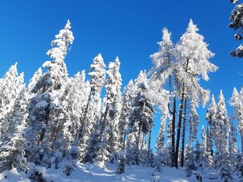 Ellend Hütte - Kärnten - Österreich