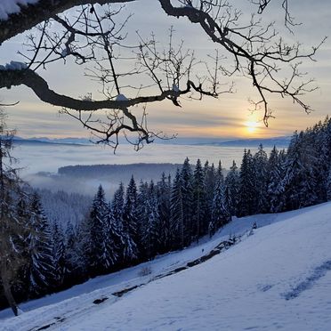 Aussicht im Winter, Ellend Hütte, Preitenegg, Kärnten, Österreich