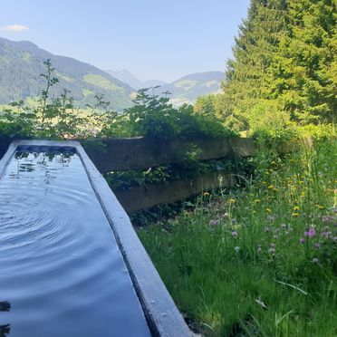 Sommer, Sonnenhütte, Wildschönau, Tirol, Österreich