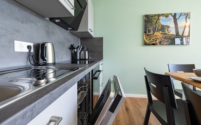 Küche mit Kühlschrank, Geschirrspüler, Backofen, Herd uvm