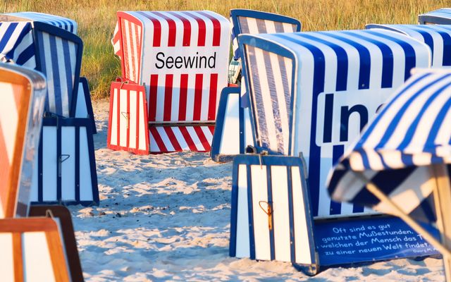 Strandkorb direkt am Strand