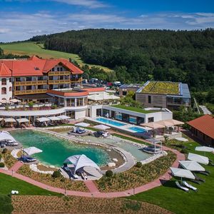 Spa & Genuss Resort Der Birkenhof -image-9